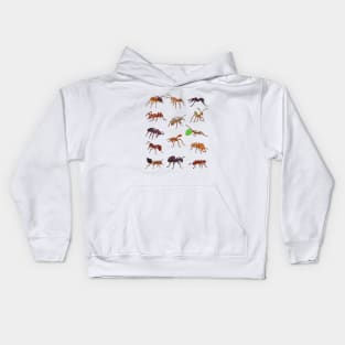 Many different species of ants Kids Hoodie